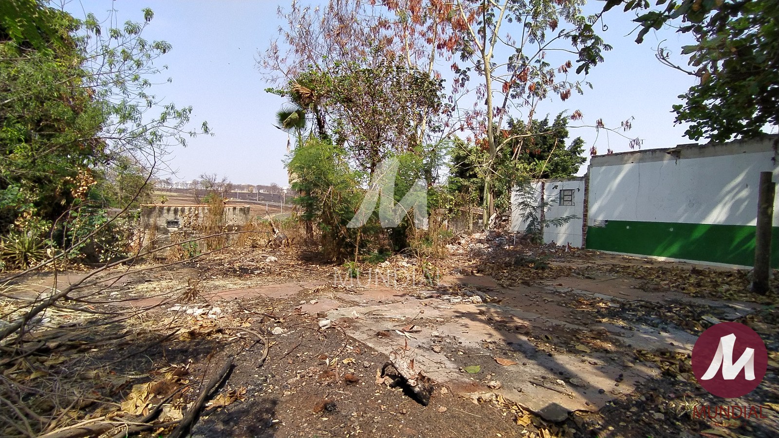 Terreno/Lote — foto 5