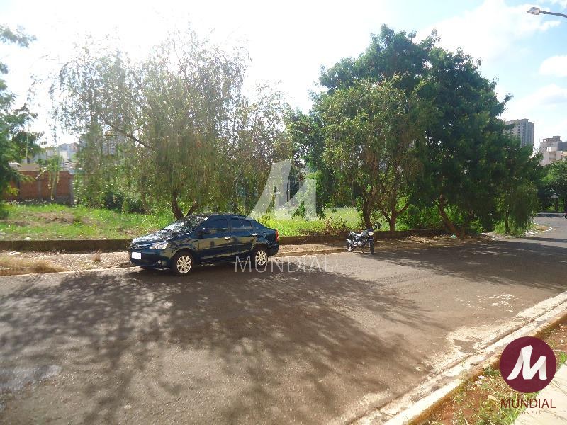 Terreno/Lote — foto 4
