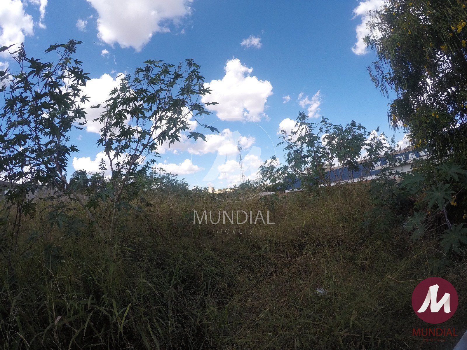 Terreno/Lote — foto 2