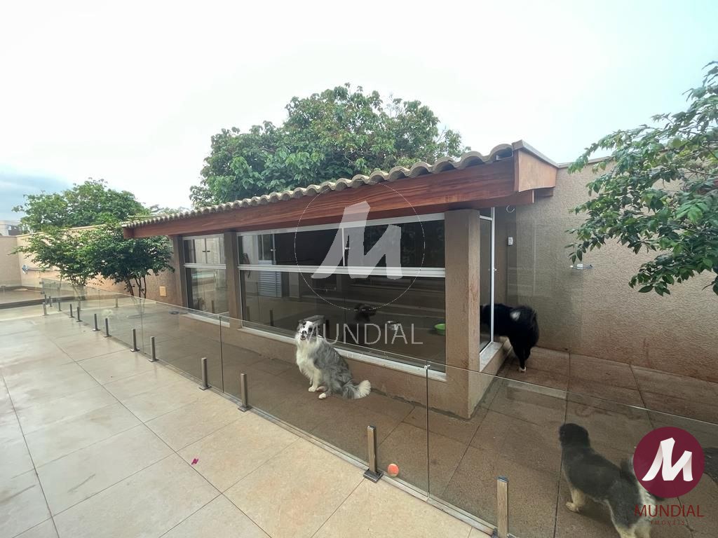 Quintal/corredores — foto 25
