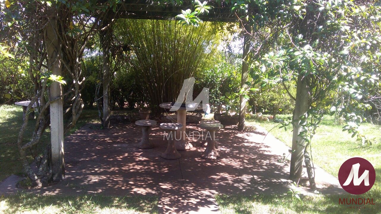Quintal/corredores — foto 6