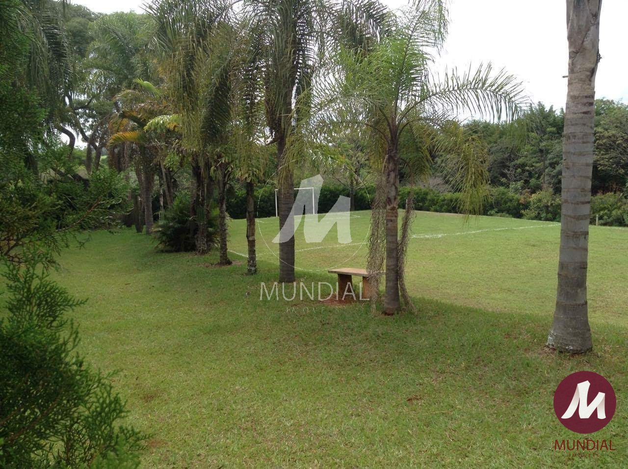 Quintal/corredores — foto 7