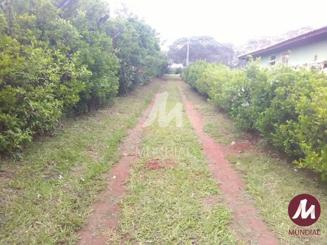 Quintal/corredores — foto 10