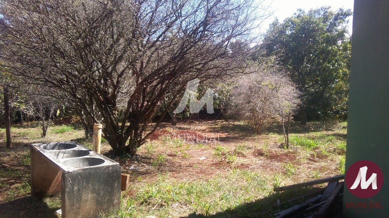Quintal/corredores — foto 11