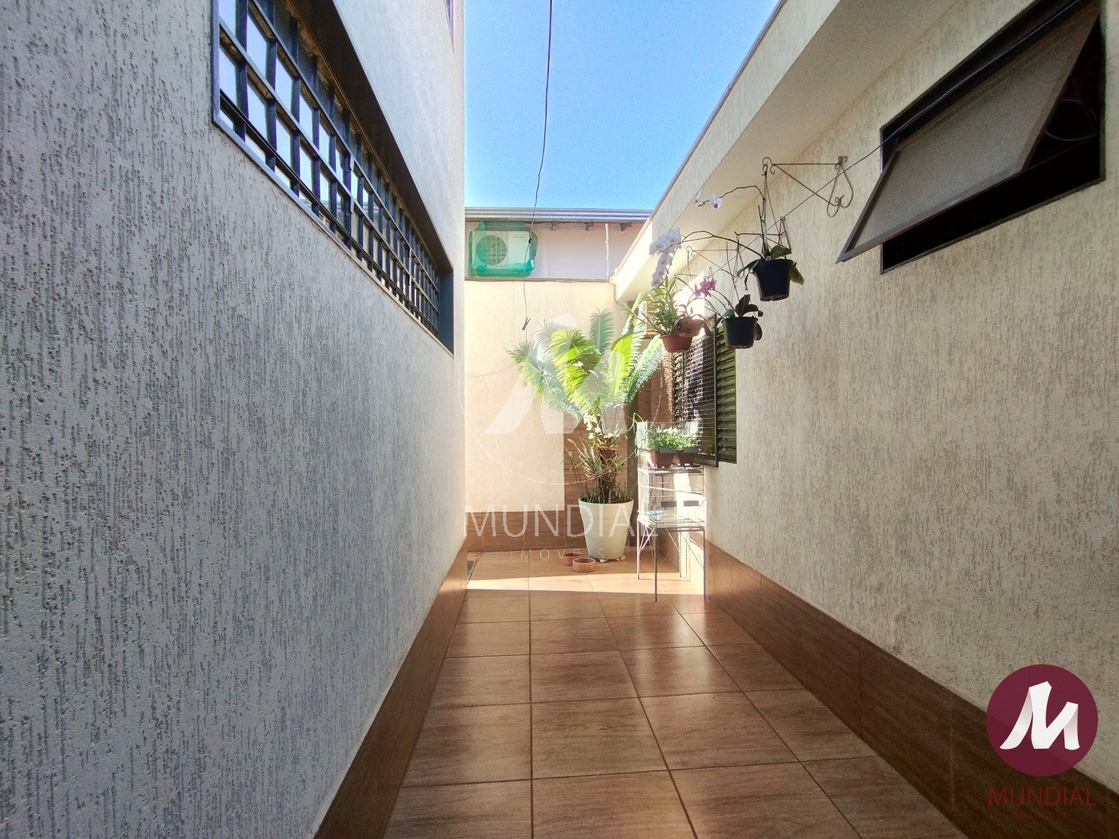 Quintal/corredores — foto 13