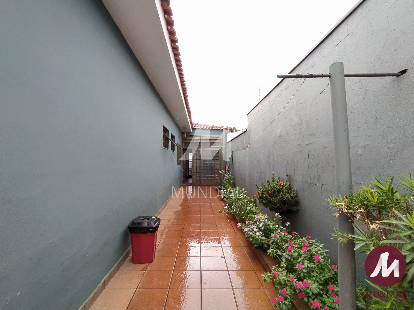 Quintal/corredores — foto 19