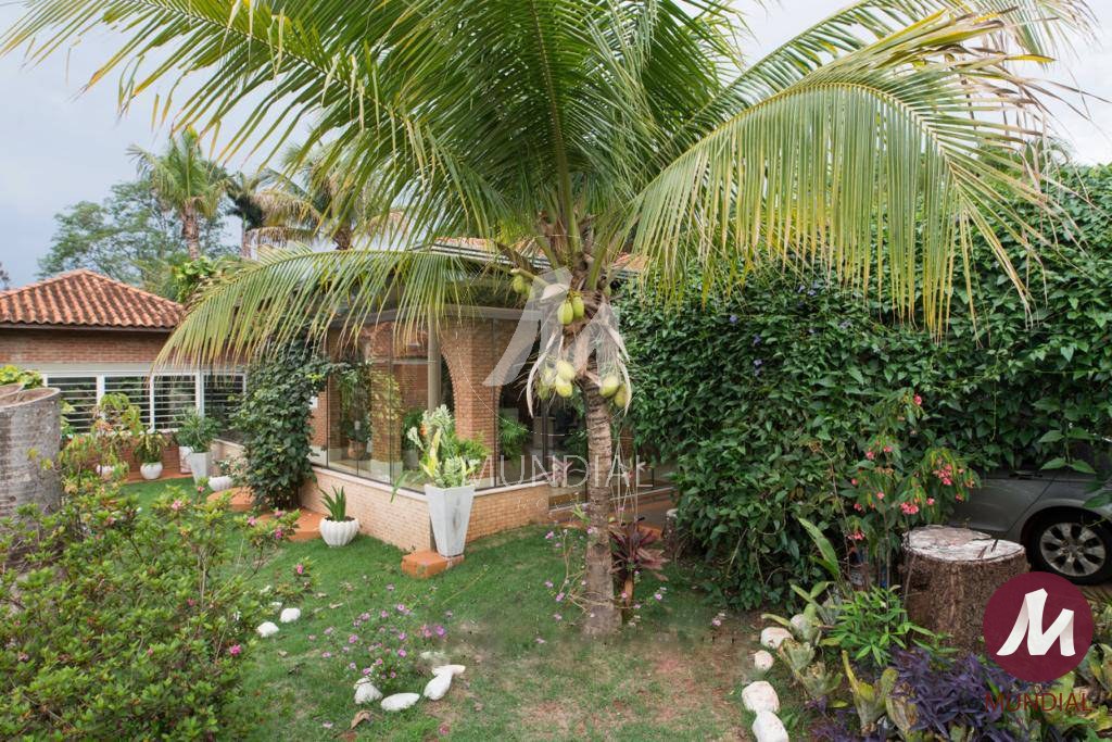 Jardim — foto 12