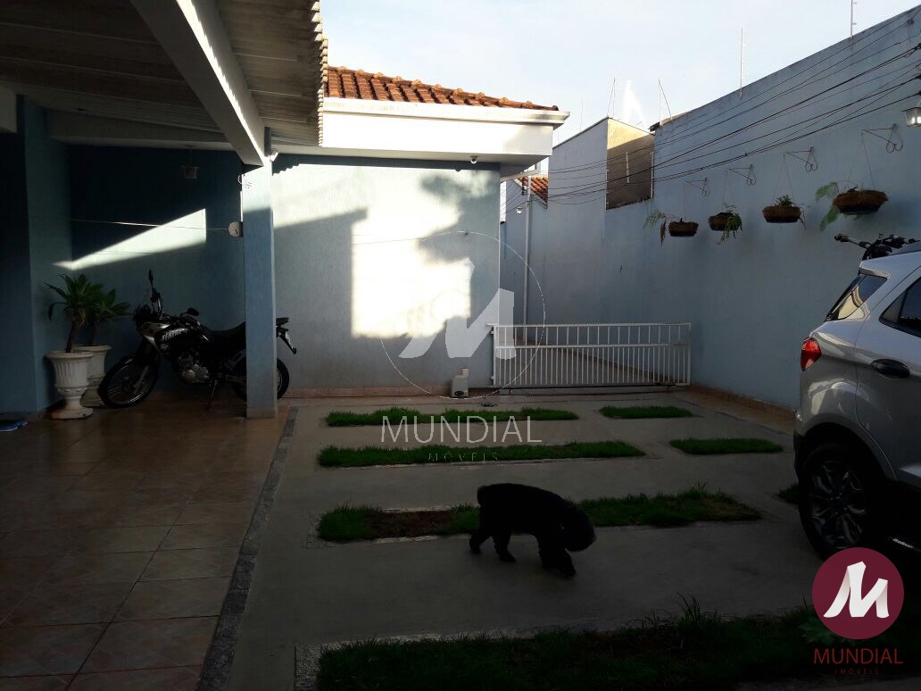 Quintal/corredores — foto 37