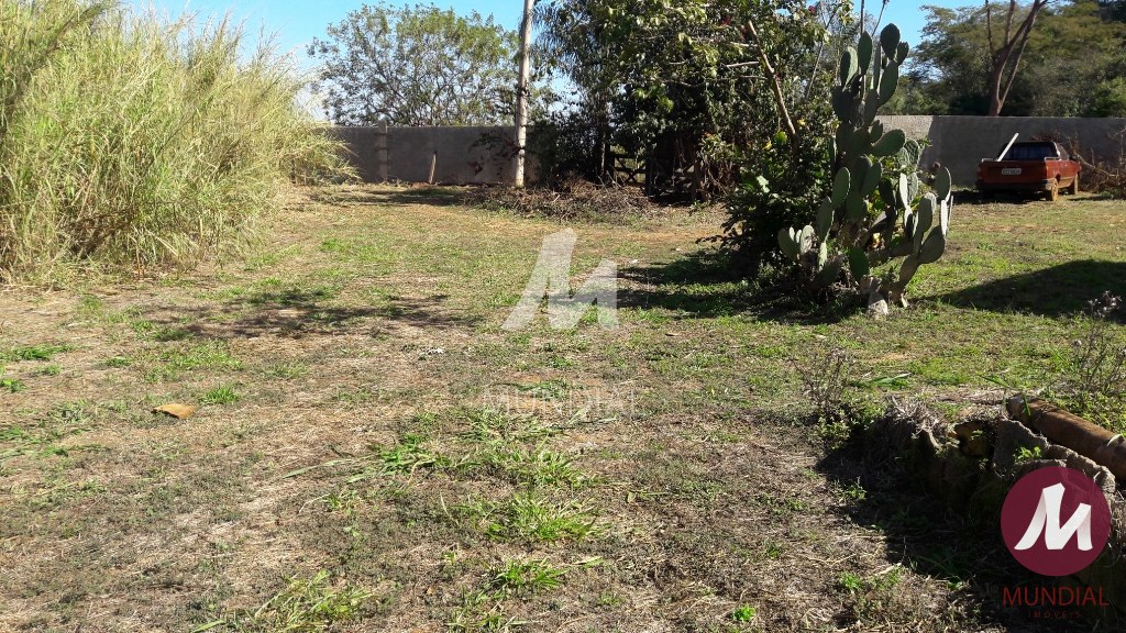 Terreno/Lote — foto 12