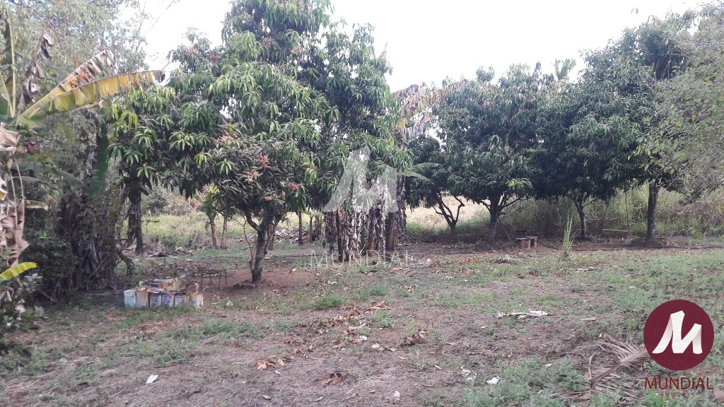 Terreno/Lote — foto 13