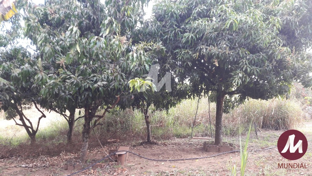 Terreno/Lote — foto 14