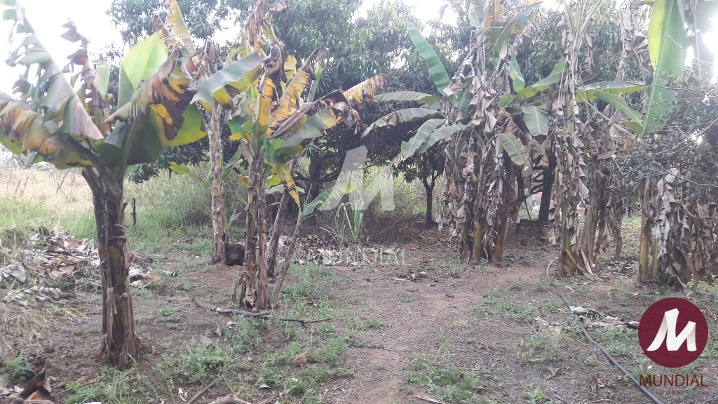 Terreno/Lote — foto 15