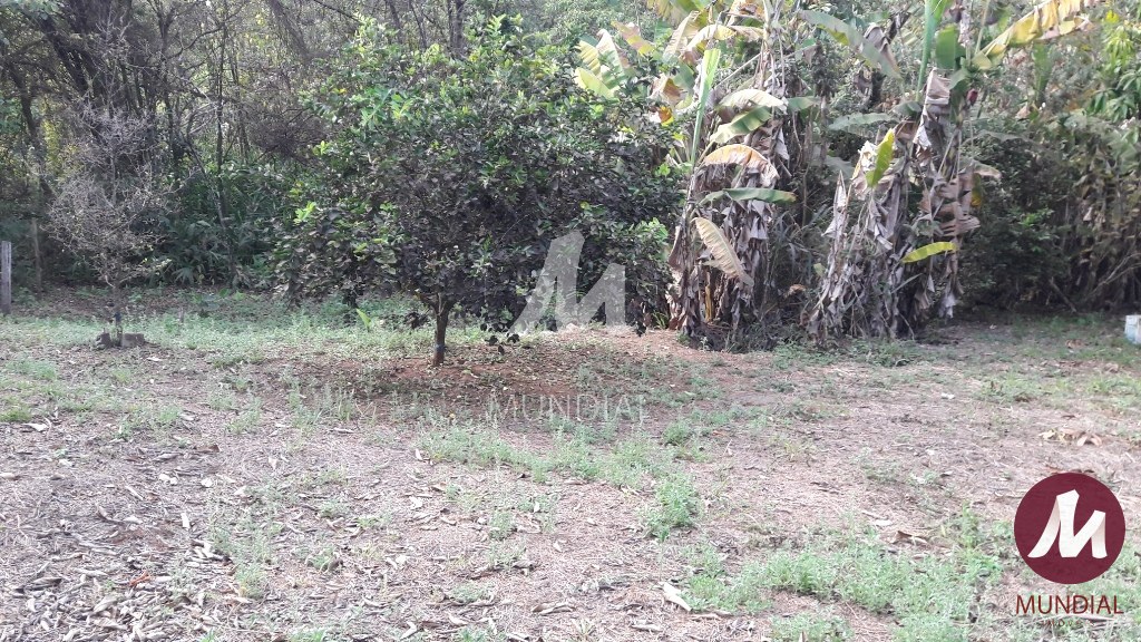 Terreno/Lote — foto 16