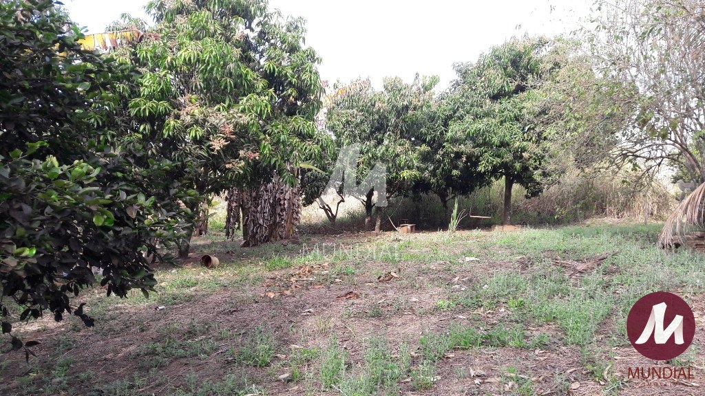 Terreno/Lote — foto 17