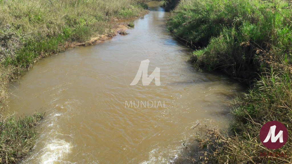 Terreno/Lote — foto 7
