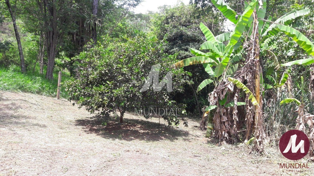 Terreno/Lote — foto 18
