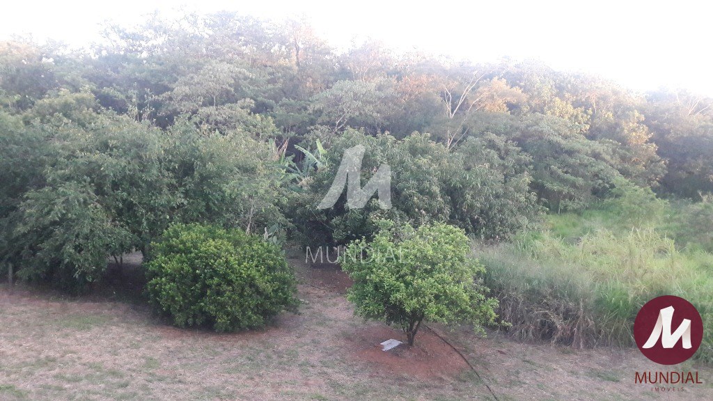 Terreno/Lote — foto 19