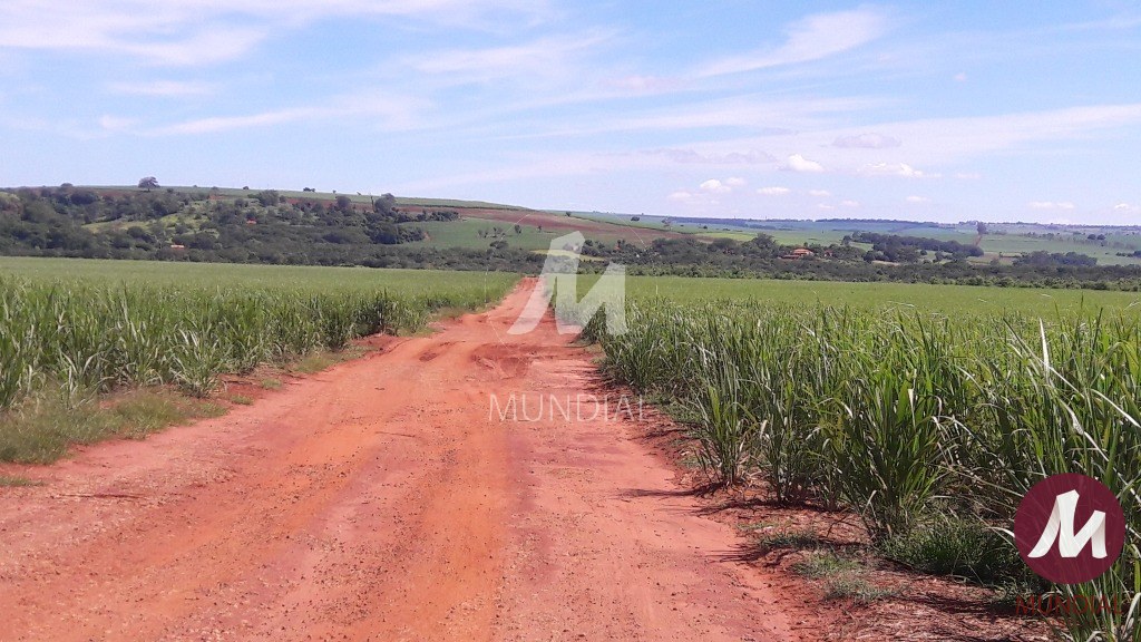 Terreno/Lote — foto 21