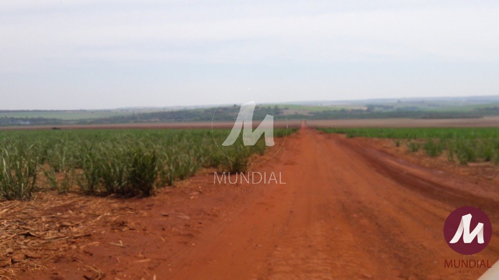 Outras — foto 22