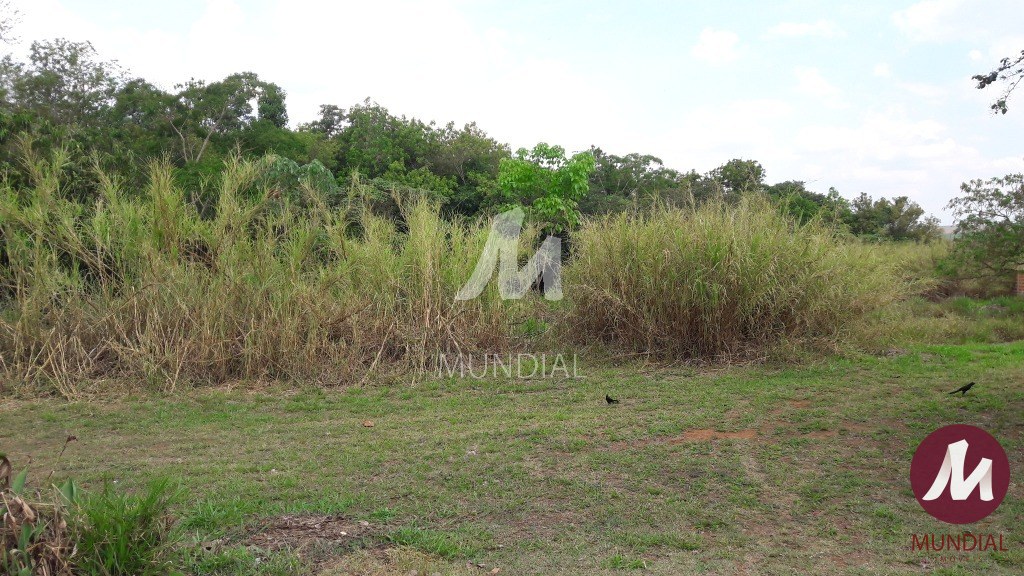 Terreno/Lote — foto 20