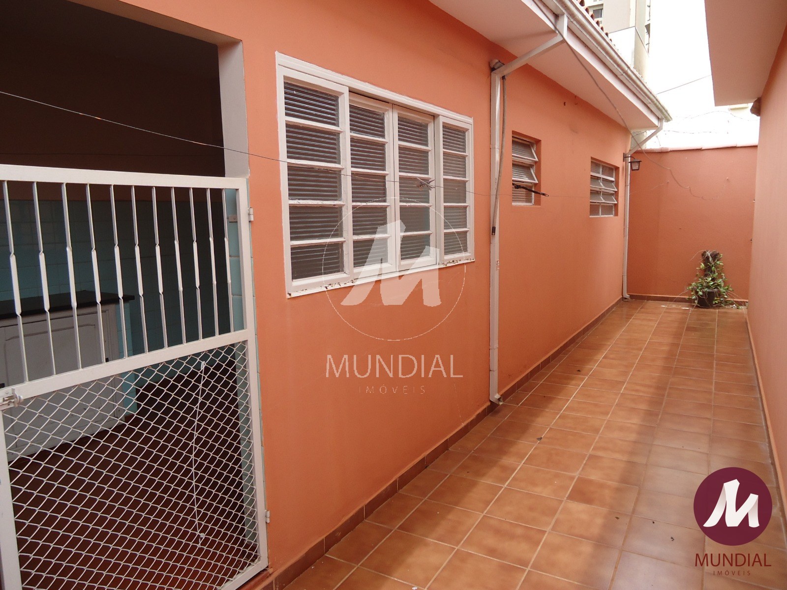Quintal/corredores — foto 13