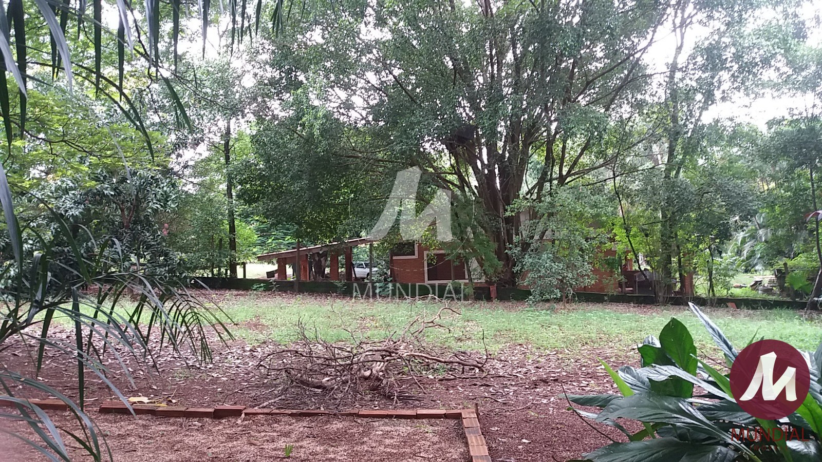 Quintal/corredores — foto 18