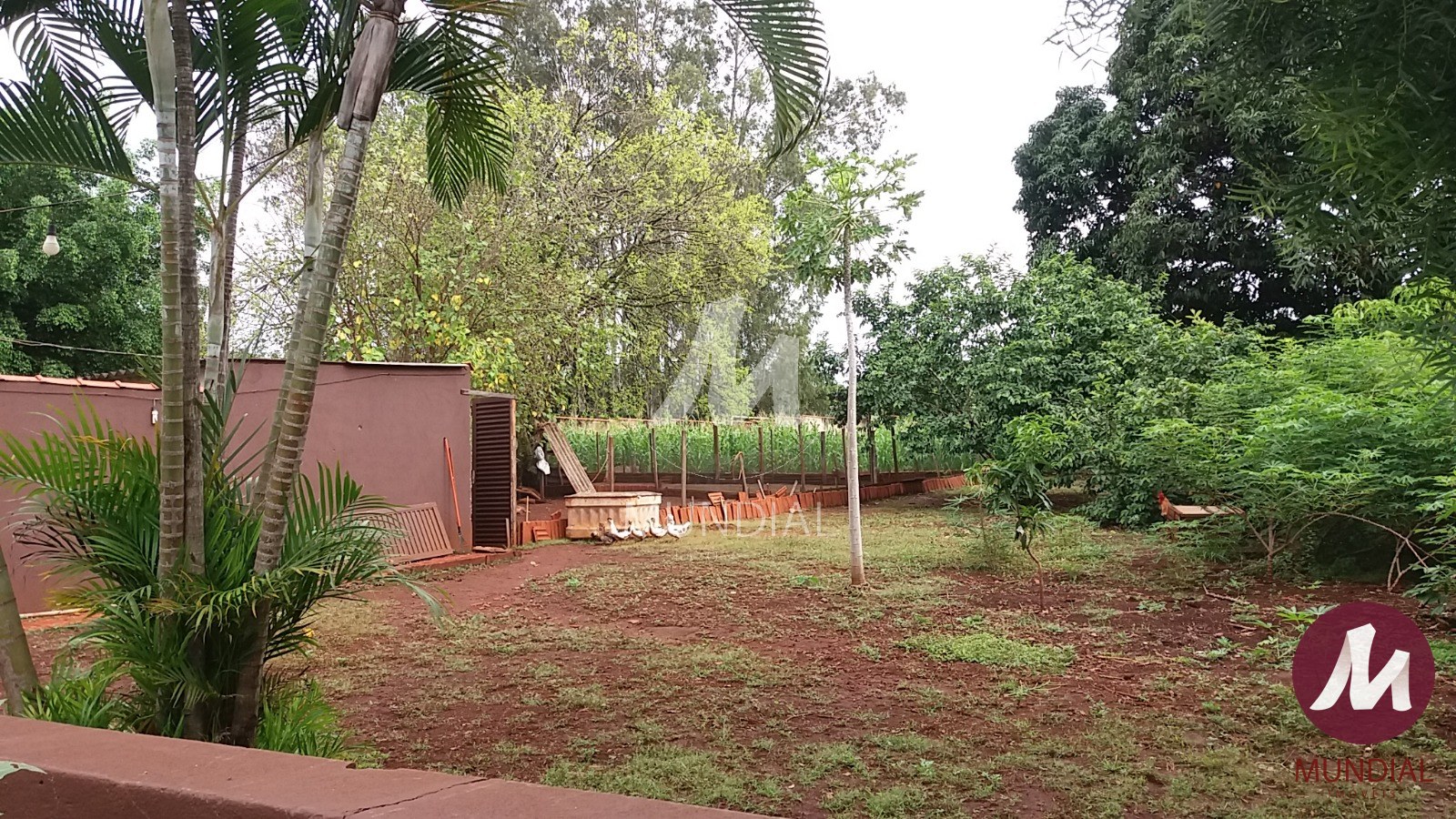 Quintal/corredores — foto 19