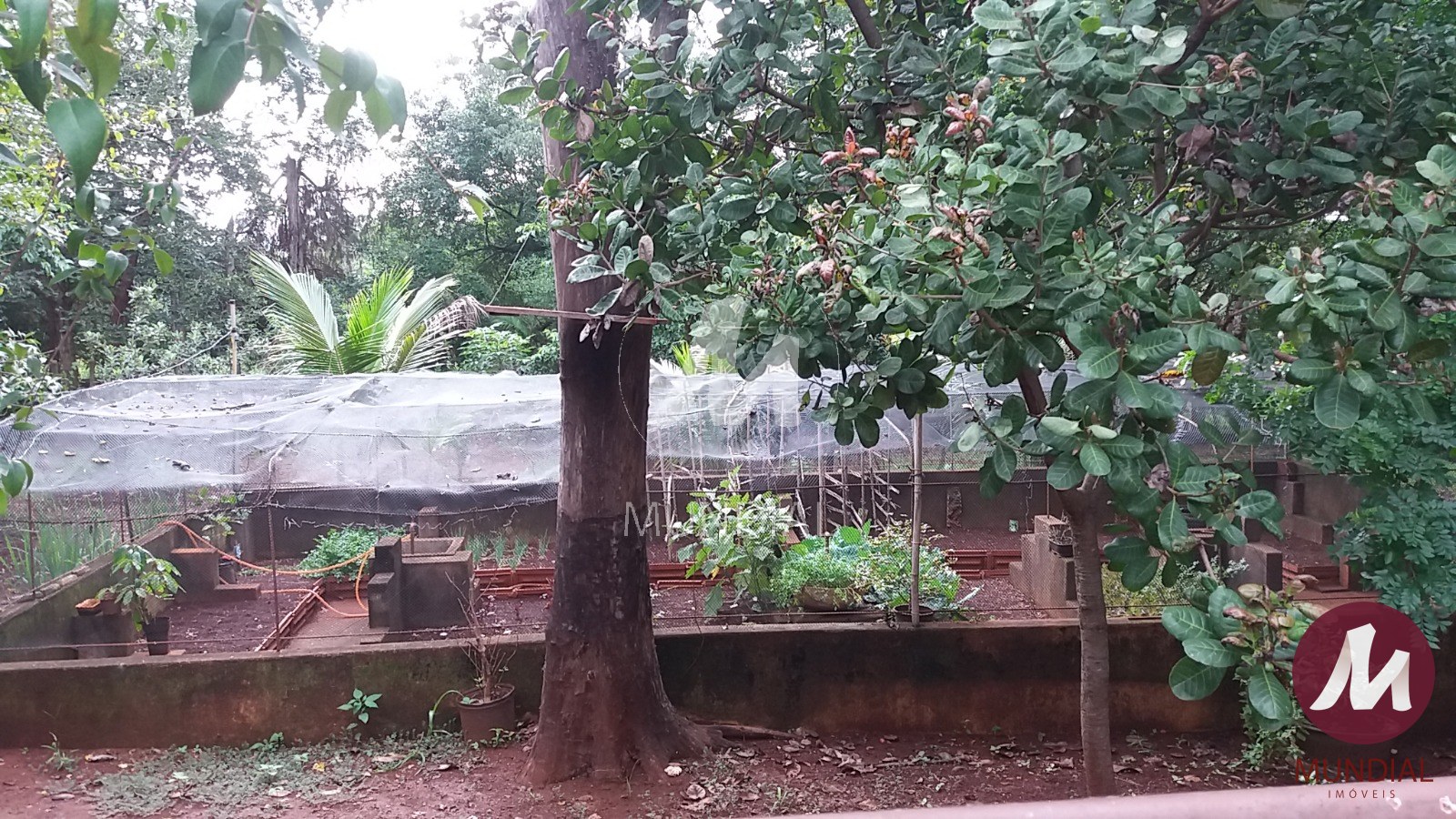 Quintal/corredores — foto 20