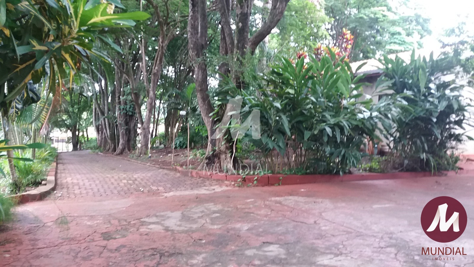 Quintal/corredores — foto 21