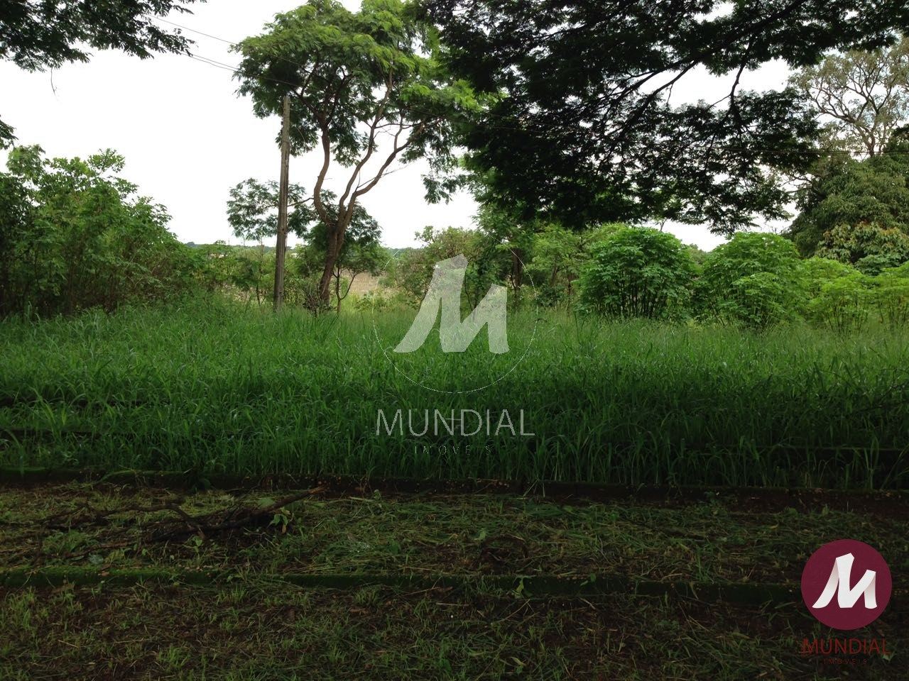 Terreno/Lote — foto 2