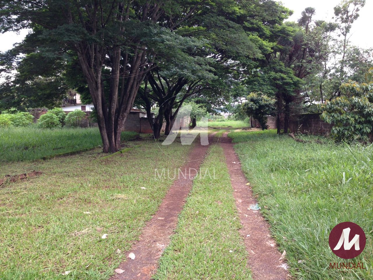 Fachada Unidade — foto 8