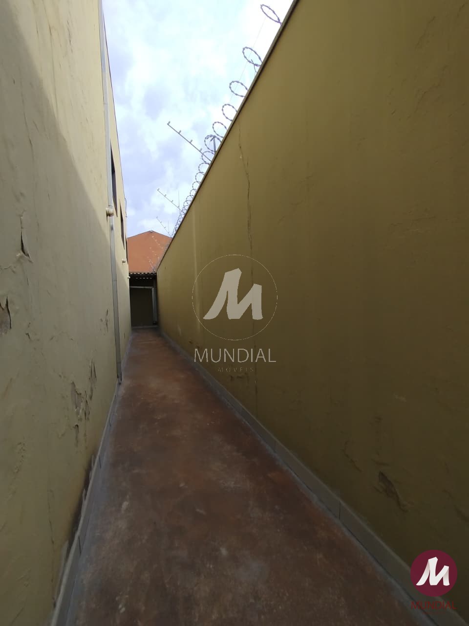 Quintal/corredores — foto 11