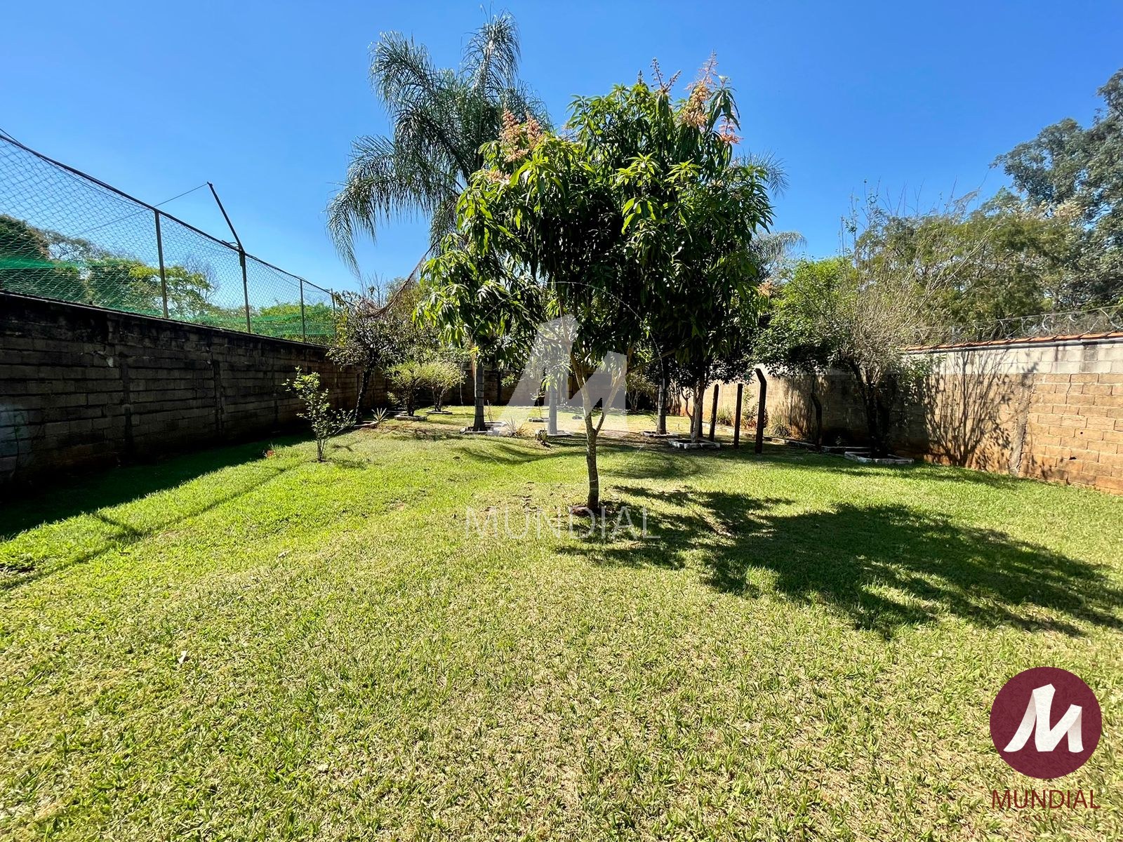 Quintal/corredores — foto 25