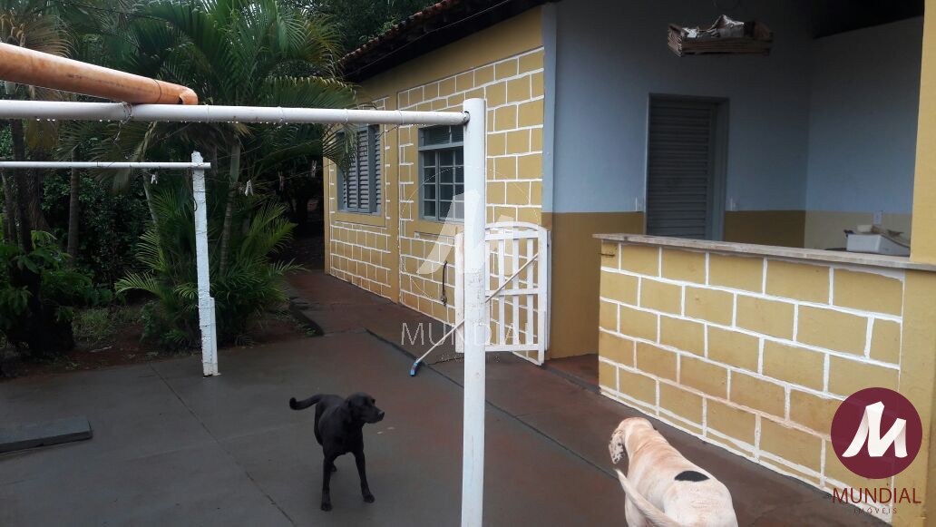 Quintal/corredores — foto 14