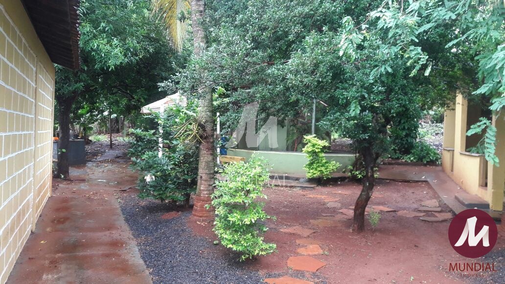 Quintal/corredores — foto 16