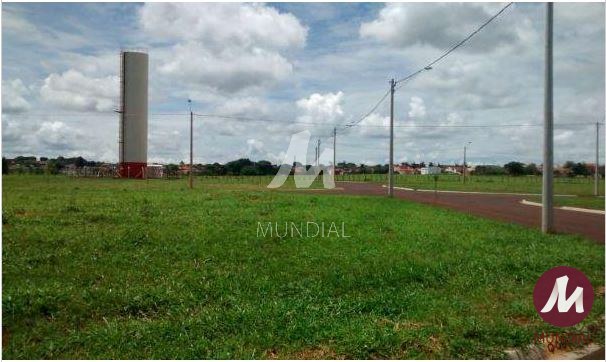 Terreno/Lote — foto 4