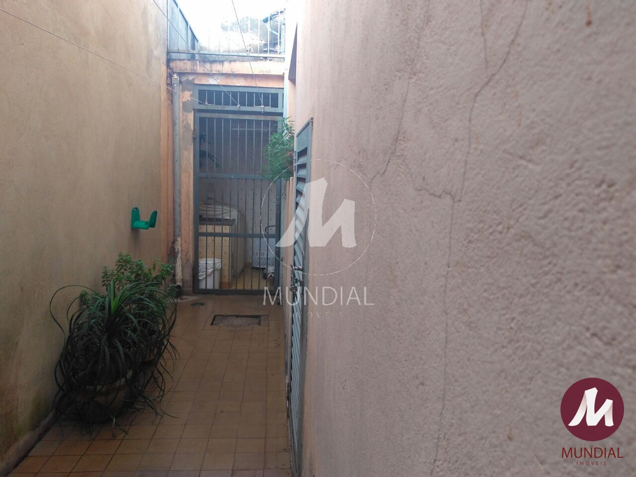 Quintal/corredores — foto 15