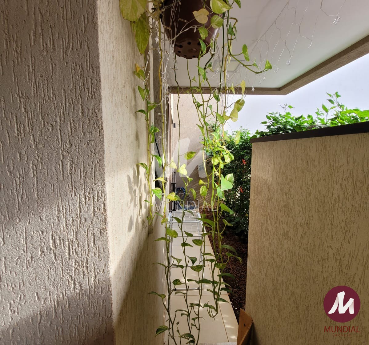 Quintal/corredores — foto 5