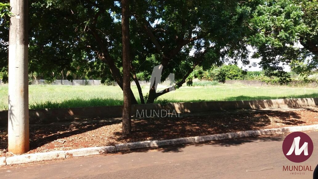 Terreno/Lote — foto 4