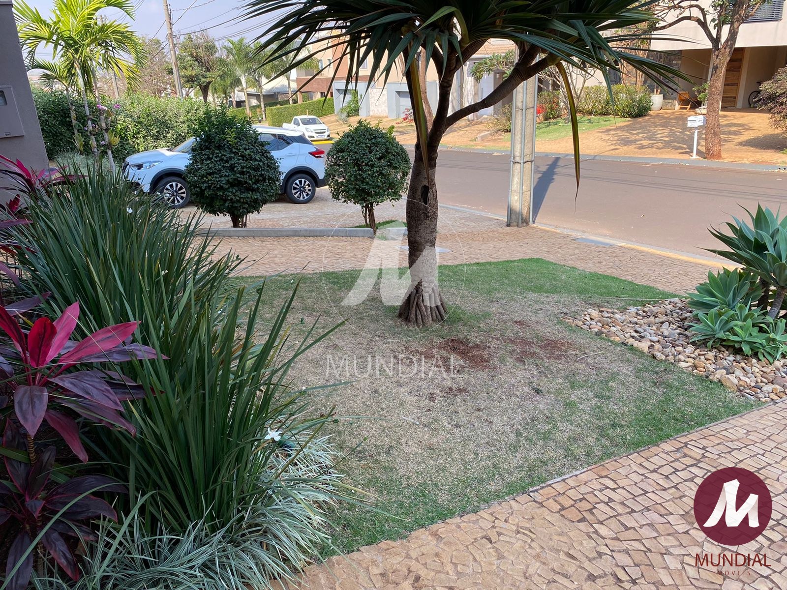 Jardim — foto 3