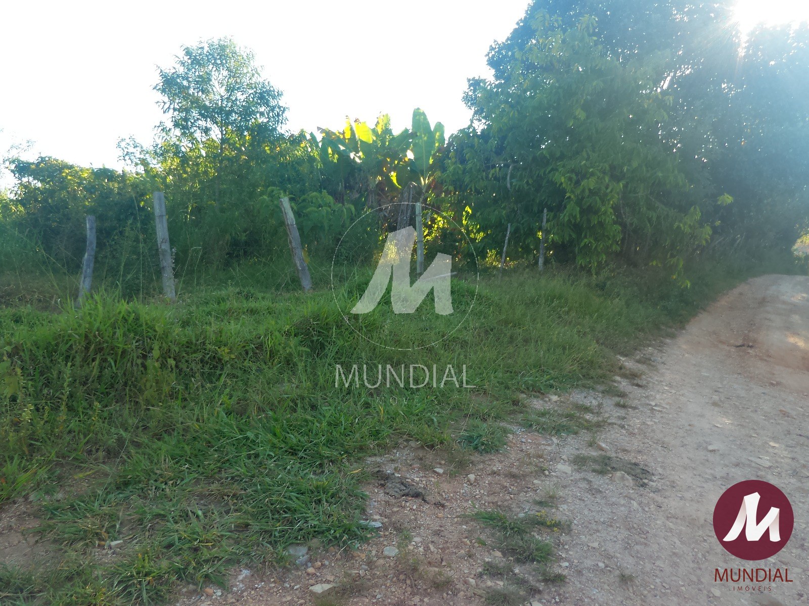 Terreno/Lote — foto 1