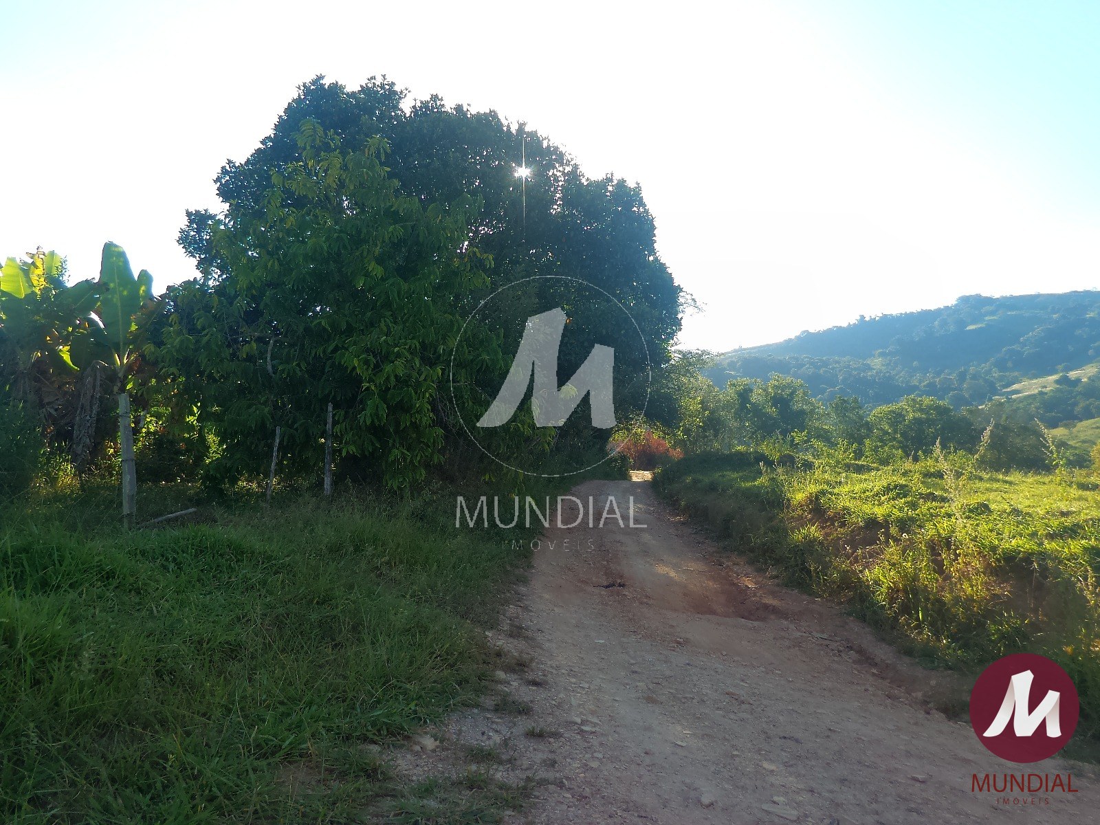 Terreno/Lote — foto 2
