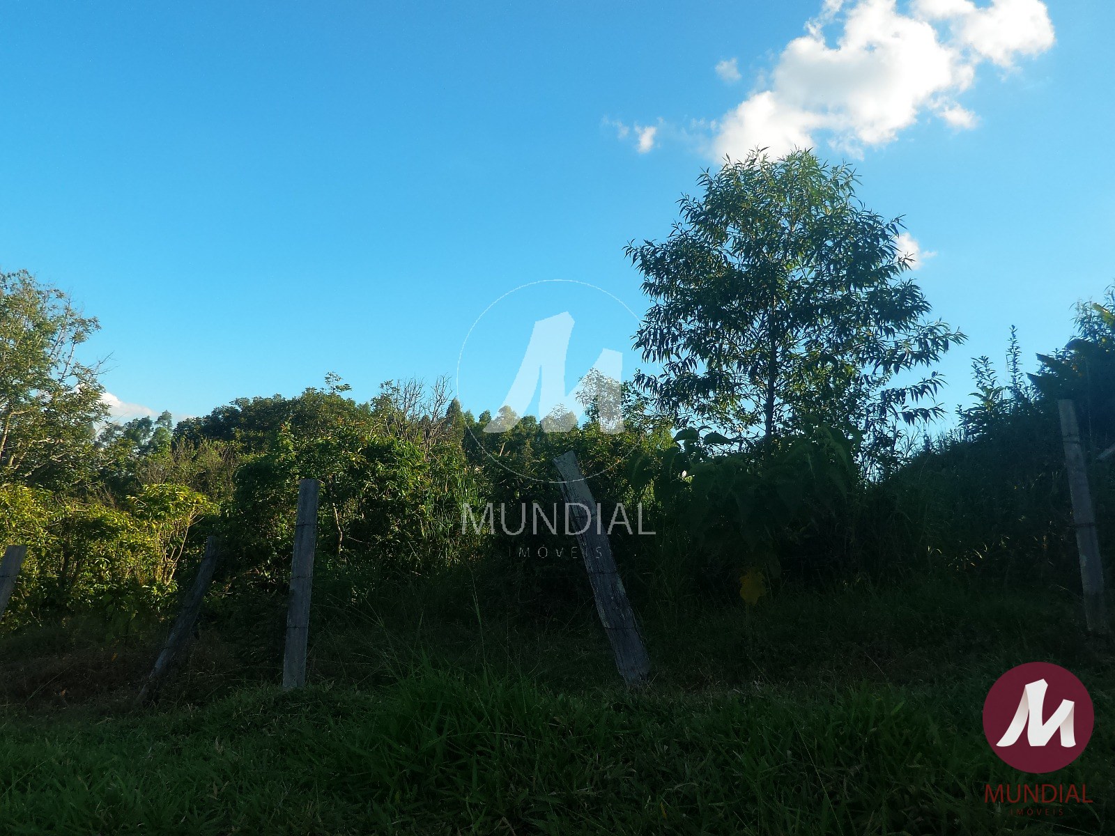 Terreno/Lote — foto 3