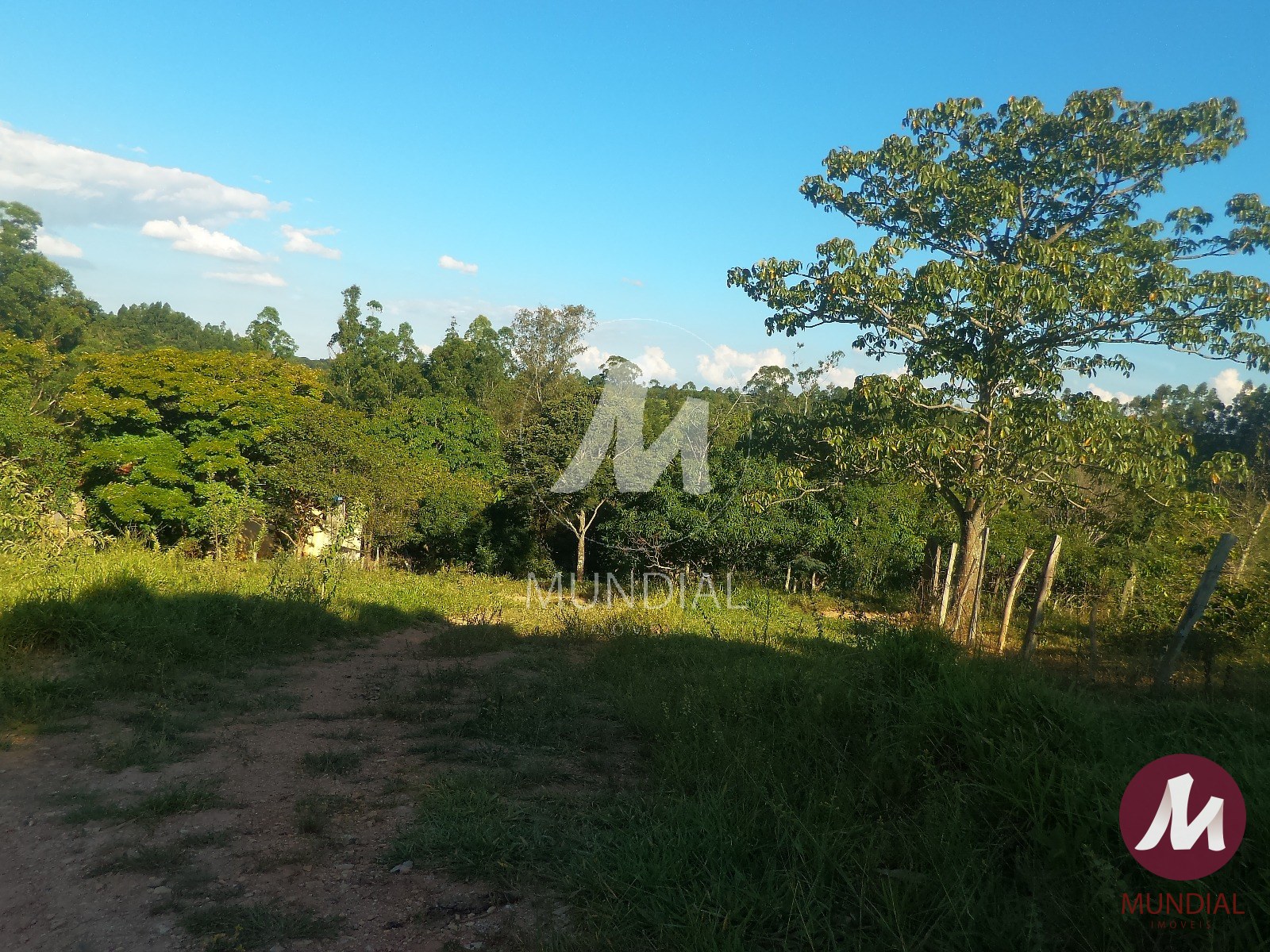 Terreno/Lote — foto 4