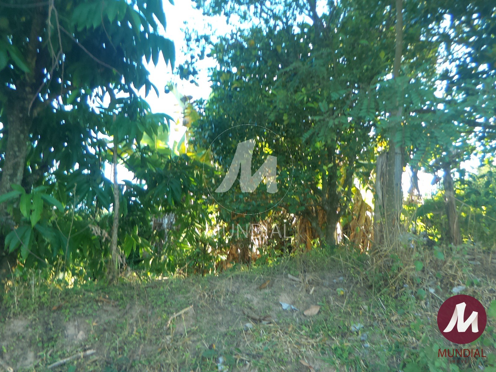 Terreno/Lote — foto 5