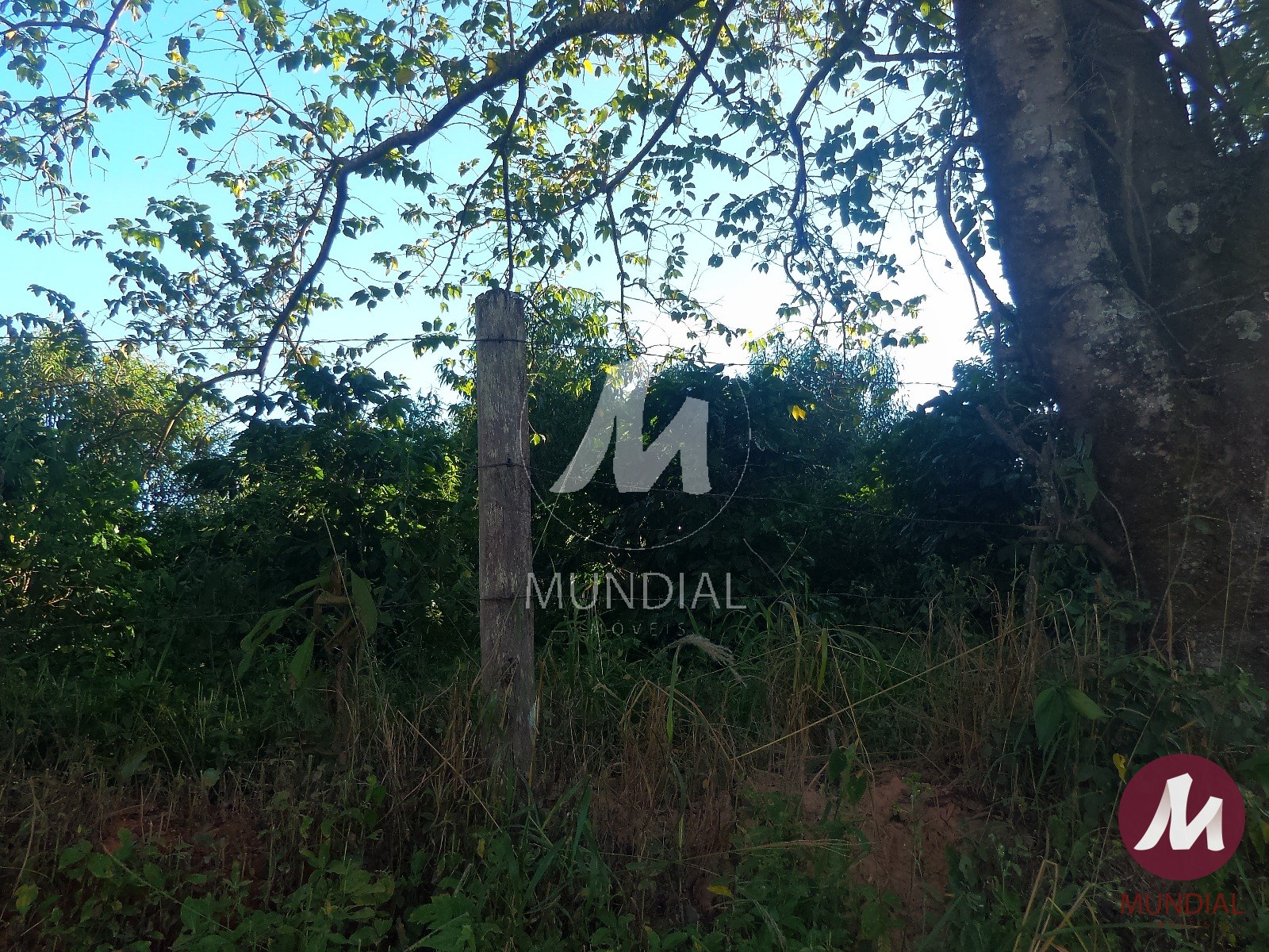 Terreno/Lote — foto 6