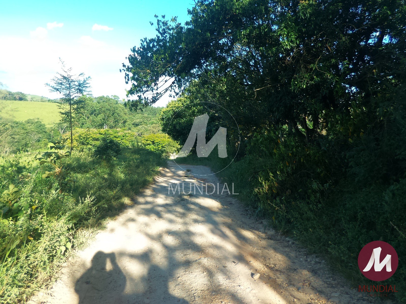 Terreno/Lote — foto 8