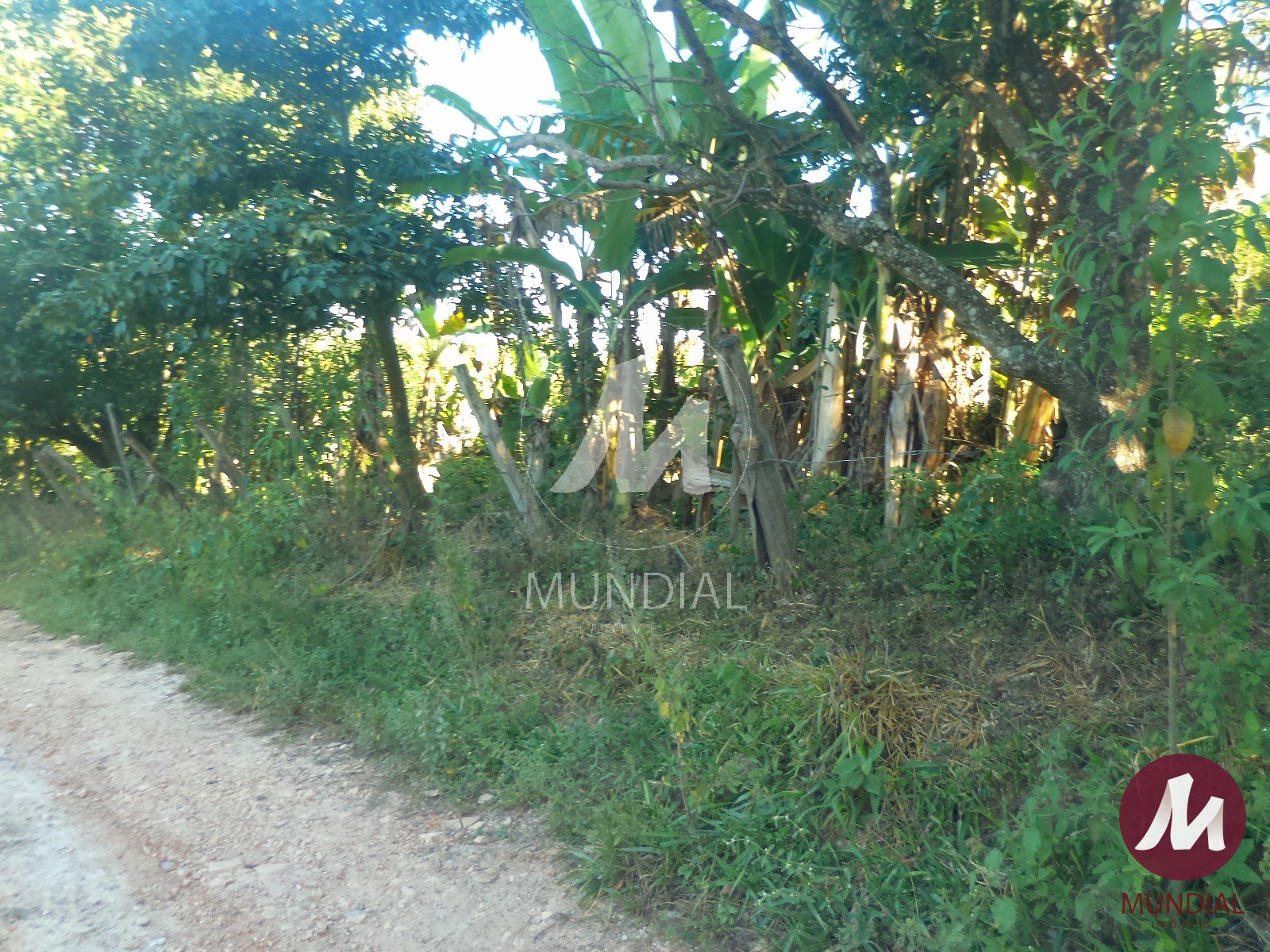 Terreno/Lote — foto 10