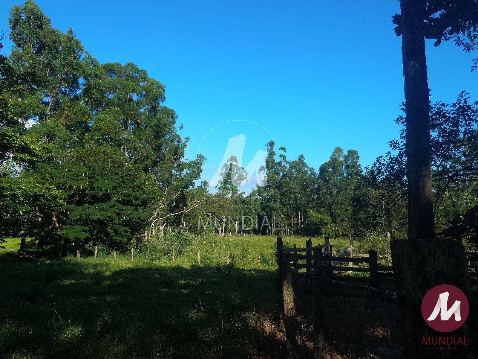 Terreno/Lote — foto 16