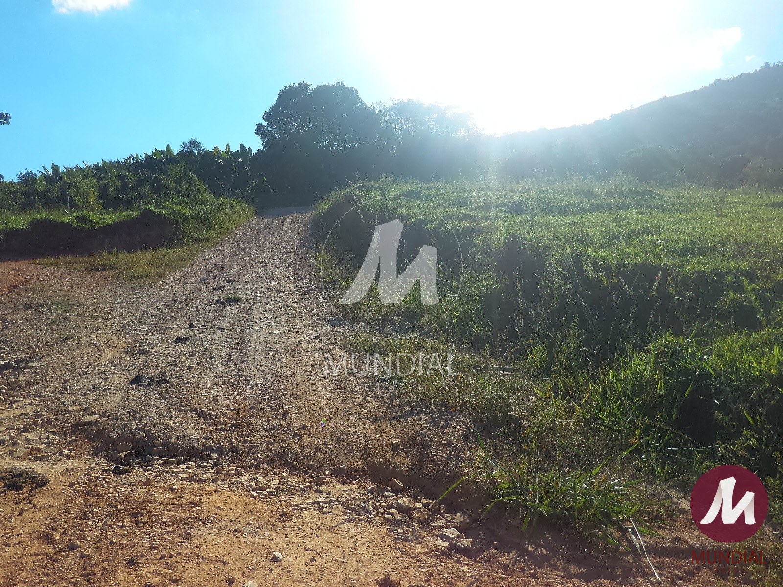 Terreno/Lote — foto 18